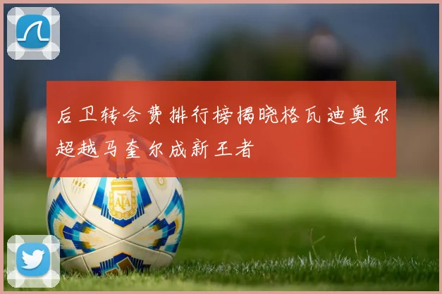 后卫转会费排行榜揭晓格瓦迪奥尔超越马奎尔成新王者