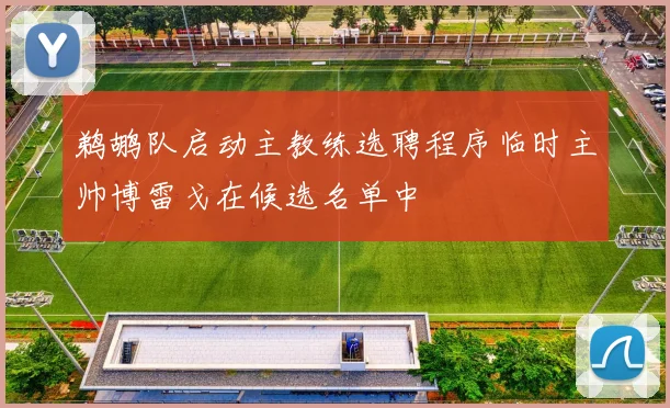 鹈鹕队启动主教练选聘程序临时主帅博雷戈在候选名单中