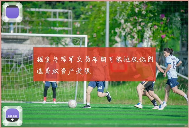 掘金与绿军交易布朗可能性极低因选秀权资产受限
